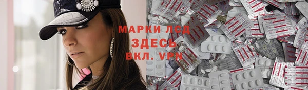 ГАЛЛЮЦИНОГЕННЫЕ ГРИБЫ Гусиноозёрск