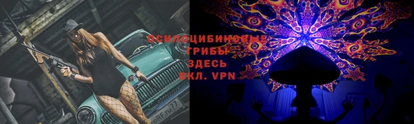 ГАЛЛЮЦИНОГЕННЫЕ ГРИБЫ Гусиноозёрск