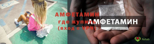 ГАЛЛЮЦИНОГЕННЫЕ ГРИБЫ Гусев