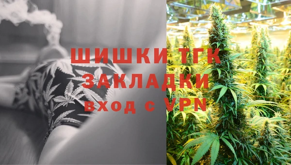 ГАЛЛЮЦИНОГЕННЫЕ ГРИБЫ Гусев