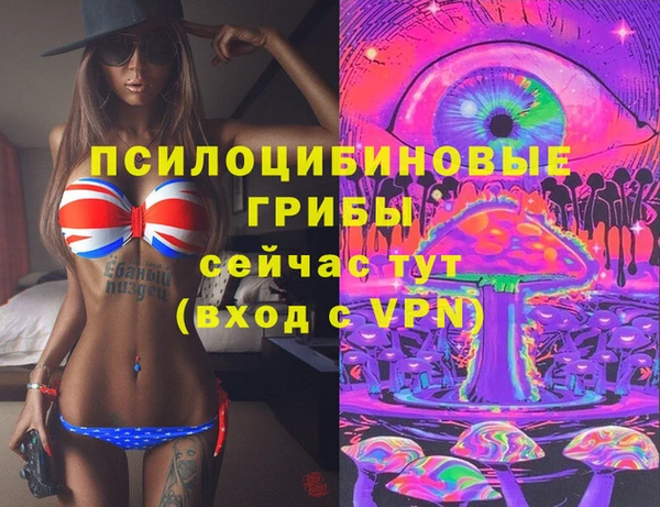 ГАЛЛЮЦИНОГЕННЫЕ ГРИБЫ Гусиноозёрск