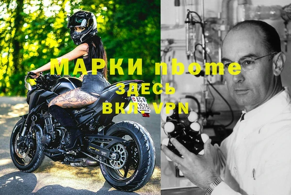 ГАЛЛЮЦИНОГЕННЫЕ ГРИБЫ Гусев