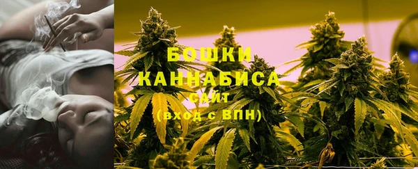 ГАЛЛЮЦИНОГЕННЫЕ ГРИБЫ Гусев