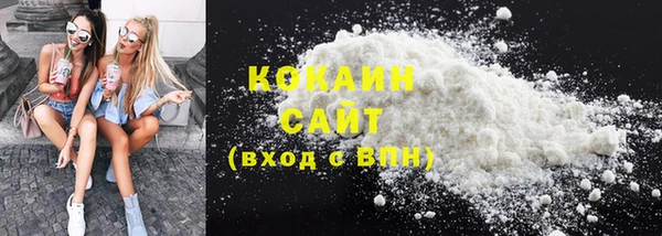 ГАЛЛЮЦИНОГЕННЫЕ ГРИБЫ Гусев